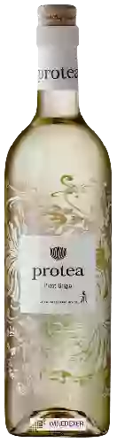 Wijnmakerij Protea - Pinot Grigio