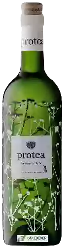 Wijnmakerij Protea - Sauvignon Blanc