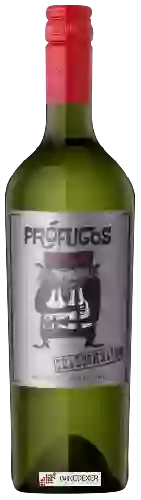 Wijnmakerij Zorzal - Prófugos Chardonnay