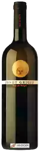 Wijnmakerij Zuc di Volpe - Pinot Grigio