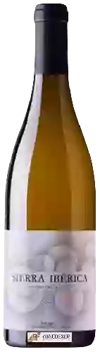 Domaine Abad - Sierra Ibérica Godello