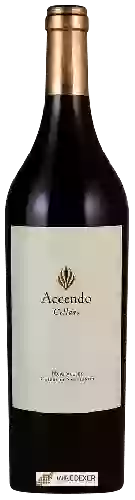 Domaine Accendo Cellars - Cabernet Sauvignon