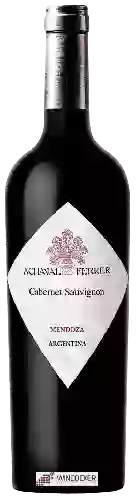 Domaine Achaval-Ferrer - Cabernet Sauvignon