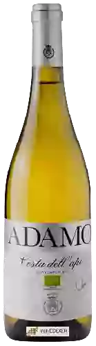 Domaine Adamo - Costa dell'Ape Sauvignon Blanc