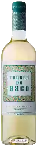 Adega de Portalegre Winery - Terras de Baco Branco