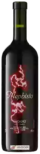 Domaine Adrian et Diego Mathier - Mephisto Gamay