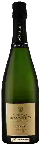 Domaine Agrapart & Fils - Terroirs Blanc de Blancs Extra Brut Champagne Grand Cru 'Avize'