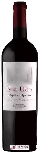 Domaine Aia Vecchia - Sor Ugo Bolgheri Superiore