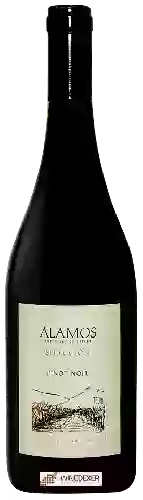 Domaine Alamos - Selección Pinot Noir