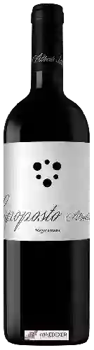 Domaine Alberto Longo - Capoposto