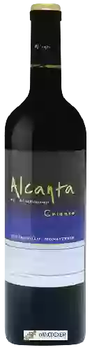 Domaine Viña Alcanta - Crianza