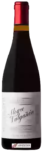 Domaine Alegre Valgañón - Tinto