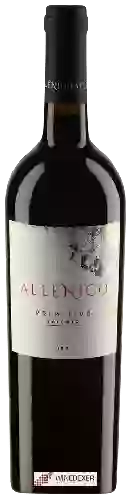 Domaine Allenico - Primitivo Salento