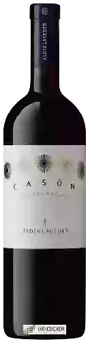 Domaine Alois Lageder - Casòn Hirschprunn Rosso