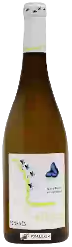 Domaine Alsina & Sarda - Eclosió