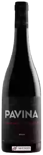 Domaine Alta Pavina - Pinot Noir - Tempranillo