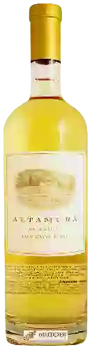 Domaine Altamura - Sauvignon Blanc