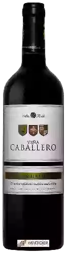 Domaine Alto Roble - Viña Caballero Carménère