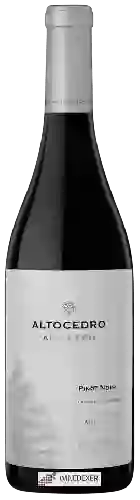 Domaine Altocedro - Año Cero Pinot Noir