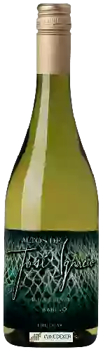 Domaine Altos de José Ignacio - Reserva Albariño