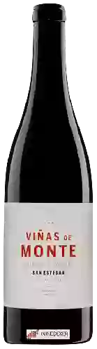 Domaine Altos de San Esteban - Viñas de Monte