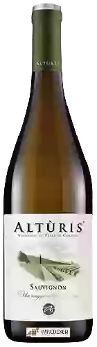 Domaine Alturis - Sauvignon