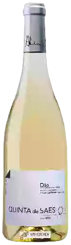 Domaine Quinta da Pellada - Quinta de Saes Branco