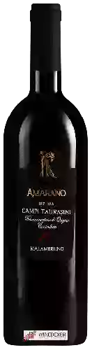 Domaine Amarano - Malambruno Irpinia Campi Taurasini