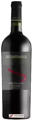 Domaine Amastuola - Centosassi Primitivo