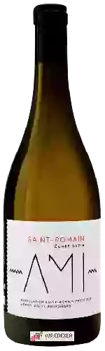 Domaine Ami - Combe Bazin Saint-Romain