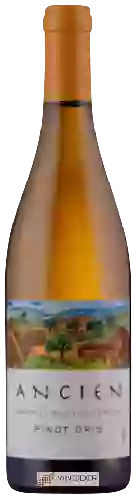 Domaine Ancien - Sangiacomo Vineyard Pinot Gris