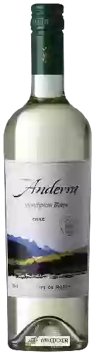 Domaine Anderra - Sauvignon Blanc