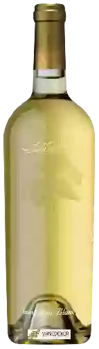 Domaine Anderson's Conn Valley Vineyards - Sauvignon Blanc