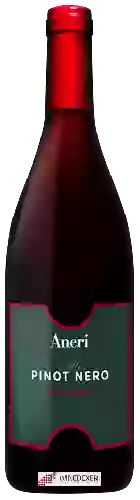 Domaine Aneri - Ale Pinot Nero Alto Adige