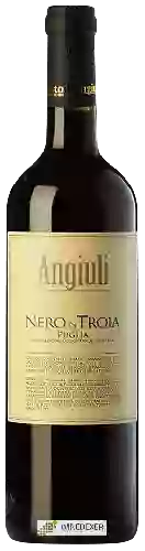 Domaine Angiuli Donato - Nero di Troia