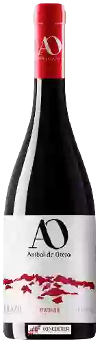 Domaine Aníbal de Otero - Viña Vieja Mencía