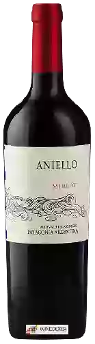 Domaine Aniello - Malbec