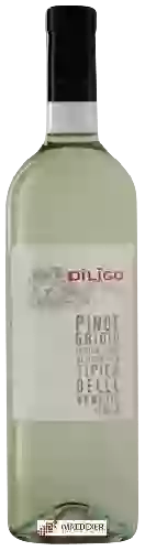 Domaine Anna Spinato - Dīlĭgo Pinot Grigio