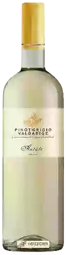 Domaine Antale - Pinot Grigio Valdadige