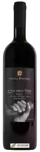 Domaine Antica Enotria - IL Sale della Terra