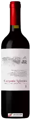 Domaine Antica Fattoria - Aglianico Campania