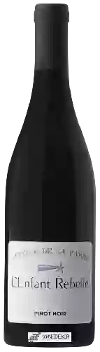 Domaine Antoine de la Farge - L’Enfant Rebelle Pinot Noir