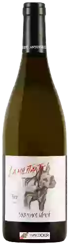 Domaine Antoine Lienhardt - La Militante Bourgogne Aligoté