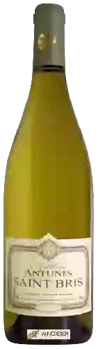 Domaine Antunes Matthieu - Saint Bris