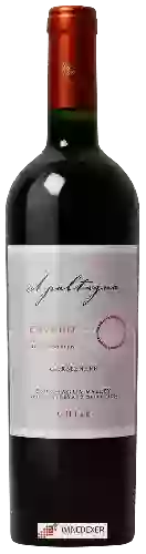 Domaine Apaltagua - Envero Carmen&egravere Gran Reserva