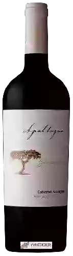 Domaine Apaltagua - Signature Cabernet Sauvignon