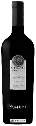 Domaine El Esteco - Ciclos Malbec - Merlot