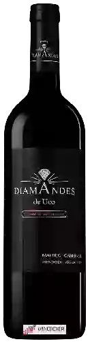 Domaine DiamAndes - Grande Réserve