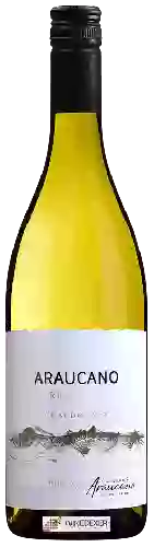 Domaine Araucano - Chardonnay Reserva