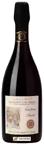 Domaine Arceto - Vigna Migliolungo Lambrusco dell'Emilia